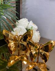 2´li kelebek turuncu