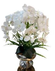 ayaklı 5 dallı ıslak orkide arajmanı gümüş