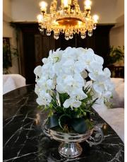 8 dallı orkide arajmanı gümüş