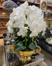 8 dallı orkide arajmanı gold