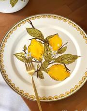 2 li 30 cm emaye sunum tabagı 