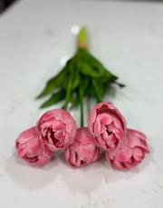 ıslak orjinal  5 dal lale pembe