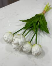 ıslak orjinal  5 dal lale beyaz