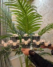 laleli baharat seti tepsili gümüş 2