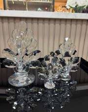 kristal tavuz kuşu şeffaf