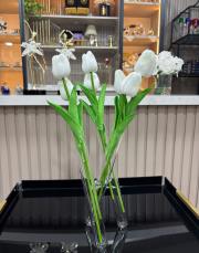 3 kollu x vazo ... 2