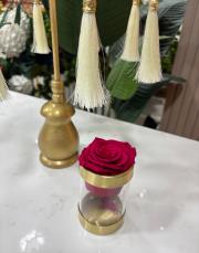 gül kovası pirinç pleksi 