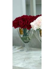22 li oda kokusu gülü kırmızı