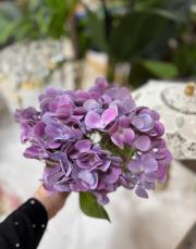 ortanca ıslak dokulu 1 demet mor