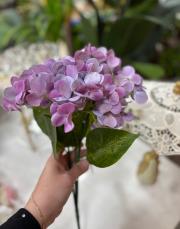 ortanca ıslak dokulu 1 demet mor 2