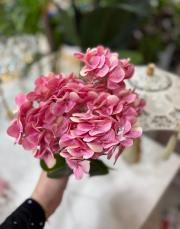 ortanca ıslak dokulu 1 demet pembe