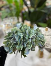 ortanca ıslak dokulu 1 demet su yeşili