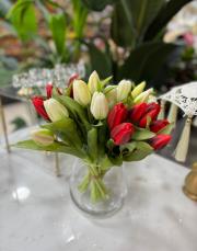 lale kısa boy orjinal kırmızı 2