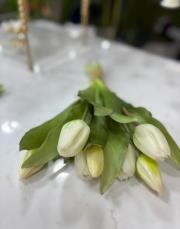 lale kısa boy orjinal krem