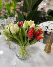 lale kısa boy orjinal krem 2