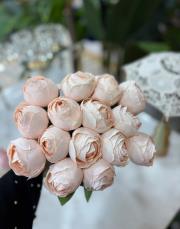 şakayık demeti ten