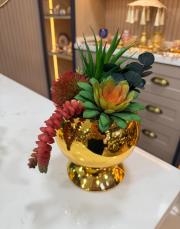 sukulent bombe kavonoz gold